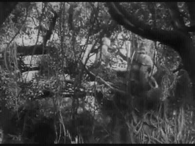 Man Walking In Cave With Vines GIF