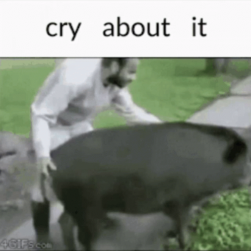 Man Walking Next To Large Black Pig GIF