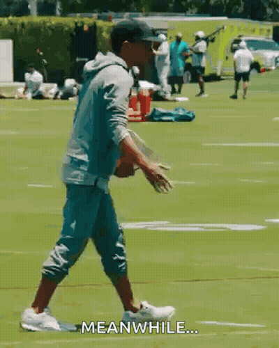 Man Walking On Field Saying Meanwhile GIF