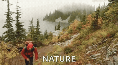 Man Walking Path In Woods Near Lake GIF
