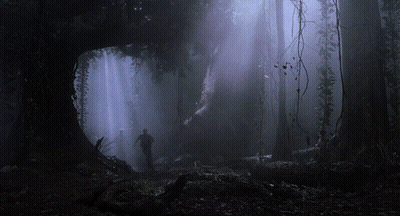 Man Walking Through Dark Forest With Purple Light GIF
