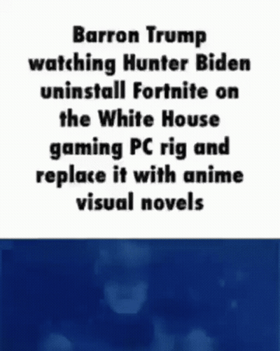 Man Watching Hunter Biden Uninstall Fortnite At White House GIF