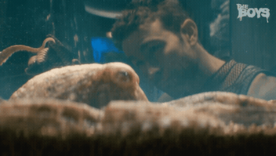 Man Watching Octopus In Aquarium GIF