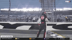 Man Waving Checkered Flag GIF