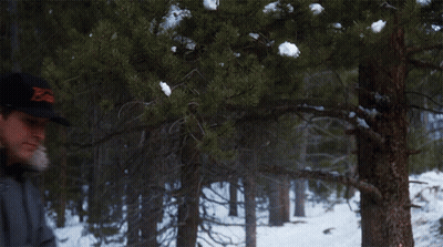 Man Wearing Bears Hat GIF