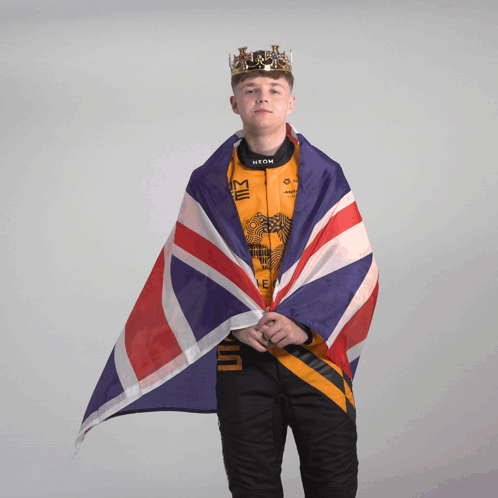 Man Wearing Crown Holds Flag GIF