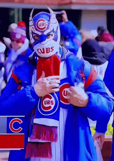 Man Wearing Cubs Mask And Scarf GIF
