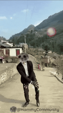 Man Wearing Hamster Mask Dance On Road GIF