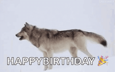 Man Wearing Hat That Says Absolutely GIF