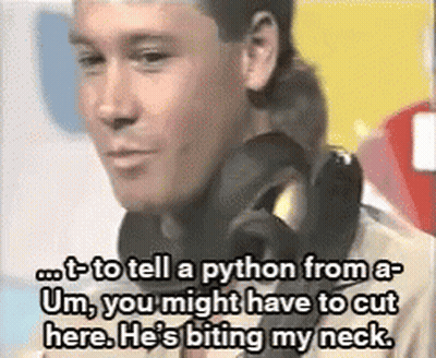 Man Wearing Headphones Talking About Python GIF