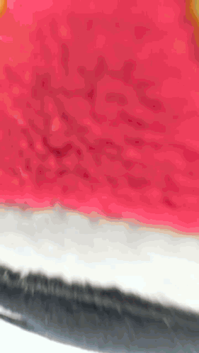 Man Wearing Hello David Name Tag GIF