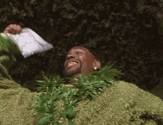 Man Wearing Lei Holding Bag Of Weed GIF
