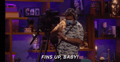 Man Wearing Mask Says Fins Up Baby GIF