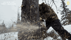 Man Wearing Navy Jacket Strongly Hold Saw GIF