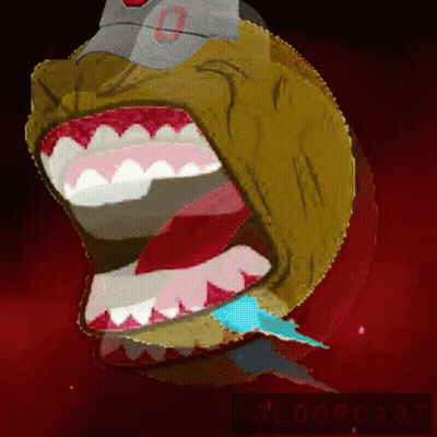 Man Wearing Ohio State Hat GIF
