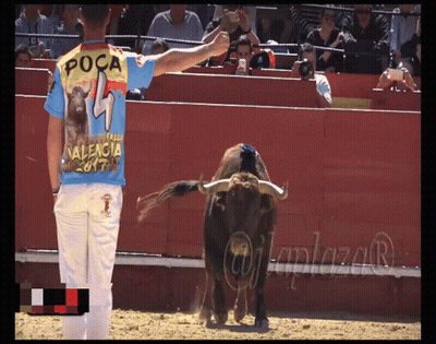 Man Wearing Poca Shirt GIF