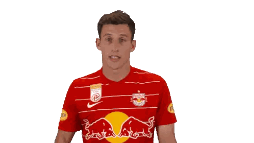 Man Wearing Red And White Striped Shirt With Bull Sticker