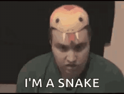Man Wearing Snake Mask GIF