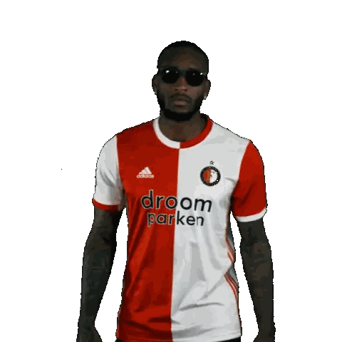 Man Wearing Sunglasses And Droom Parken Shirt Sticker