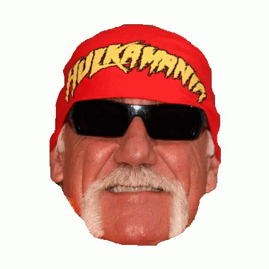Man Wearing Sunglasses And Hulk Hogan Headband GIF