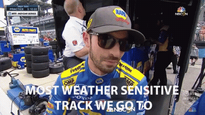 Man Wearing Sunglasses And Napa Hat GIF