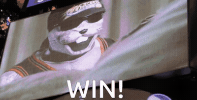 Man Wearing Sunglasses And Win Hat GIF