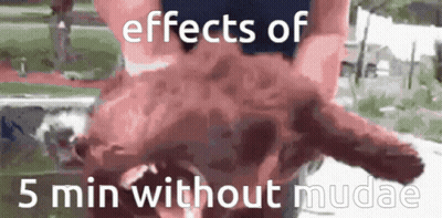 Man With Apple Laptop And Two Coffees GIF