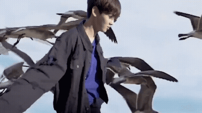Man With Arms Outstretched In Front Of Seagulls GIF