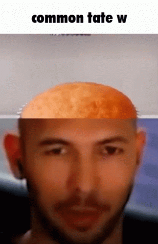 Man With Beard And Bald Head Common Tate W GIF