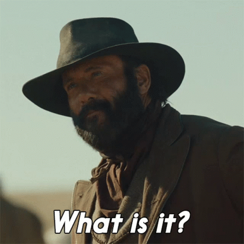 Man With Beard And Cowboy Hat Saying What GIF