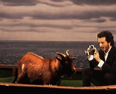 Man With Beard And Hat GIF
