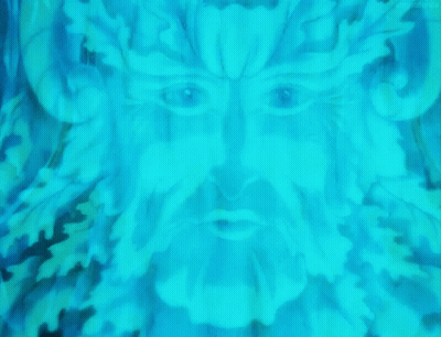 Man With Beard and Leaves on Face