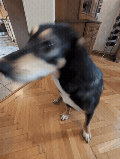Man With Beard And Mustache Sitting Eyes Closed GIF