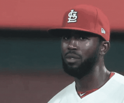 Man With Beard And Red S Hat GIF
