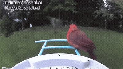 Man With Beard And Star Above Him GIF
