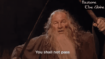 Man With Beard And Sword Says You Shall Not Pass GIF