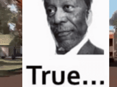 Man With Beard And True Text GIF