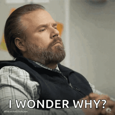 Man With Beard And Vest Says I Wonder Why GIF