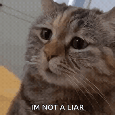 Man With Beard Asking Liar Liar Pants On Fire GIF