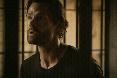 Man With Beard Close Up GIF