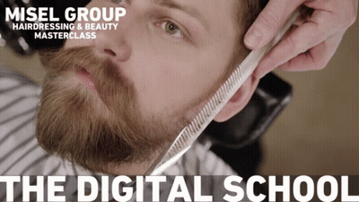 Man With Beard Getting Hair Combed By Barber For Misen Group Masterclass GIF
