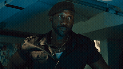 Man With Beard In Black Beret GIF