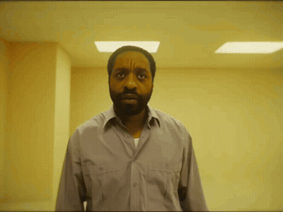 Man With Beard In Grey Shirt Looking At Camera GIF