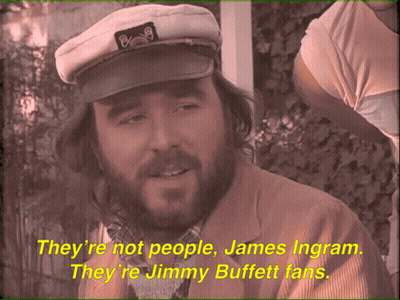 Man With Beard In Hat Saying They're Jimmy Buffett Fans GIF