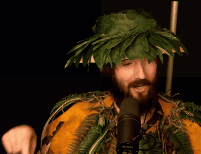 Man With Beard In Leaf And Fern Hat GIF