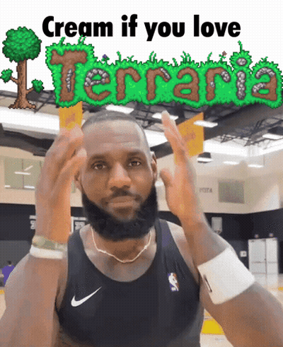 Man With Beard In Terraria Tank Top GIF