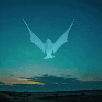 Man With Beard In TLC White Shirt GIF