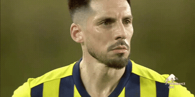 Man With Beard In Yellow Blue Striped Shirt Saying Performance GIF