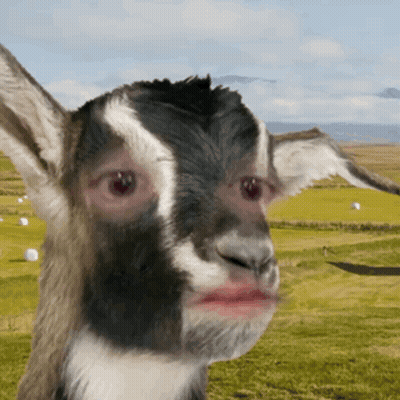 Man With Beard Kuldeep GIF