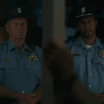 Man With Beard Looking At Camera GIF